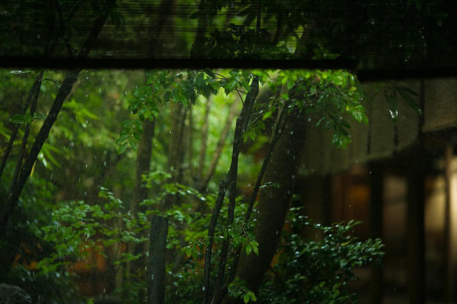 鹿児島県霧島 数寄屋造りの宿 野鶴亭(やかくてい)